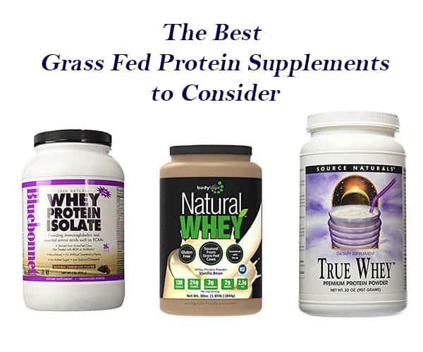 The Best Grass Fed Protein Supplements to Consider 2
